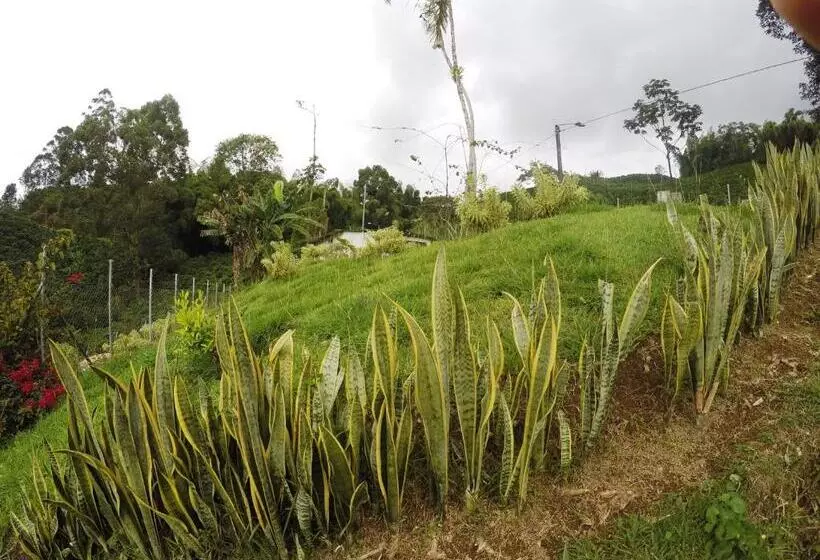 Hotelli Sky Club Eco