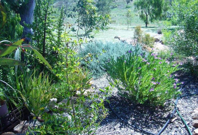 Mooniemia Farmhouse Bed And Breakfast