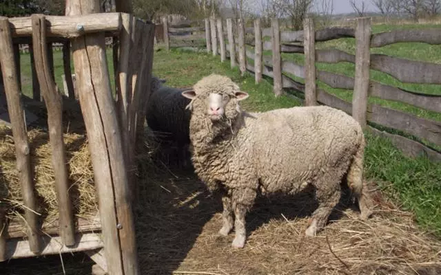 ペンション Folyóka Vendégház