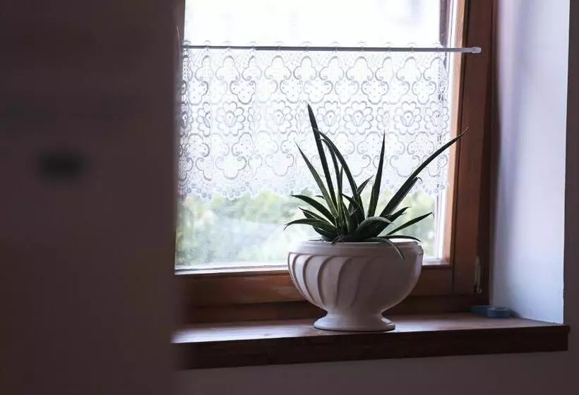 Majatalo Füzesi Papa Vendégháza