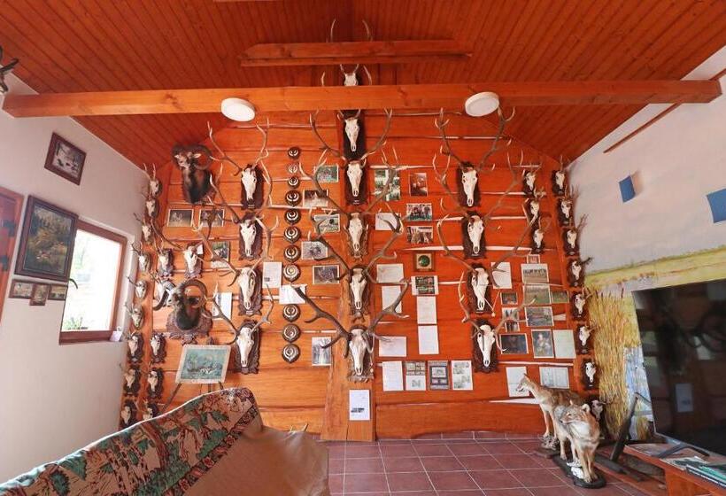 Pensjonat Füzesi Papa Vendégháza