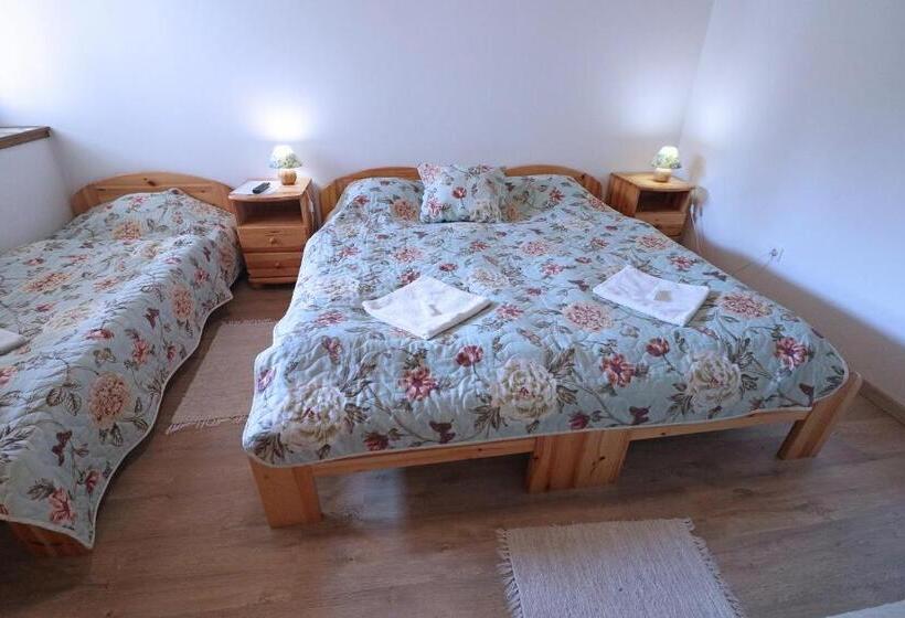 Pensjonat Füzesi Papa Vendégháza