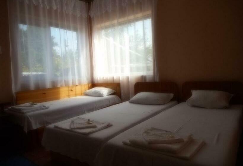 پانسیون Guest House Borisov