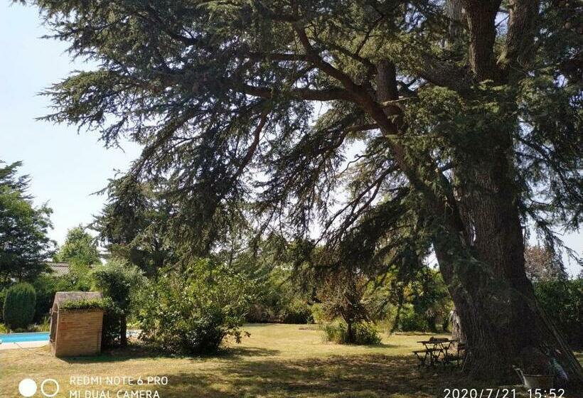 ペンション La Maison De L'œnologue