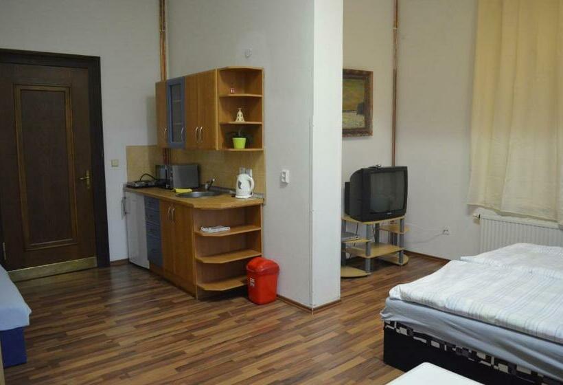 بنسيون Penzion Jungmannova