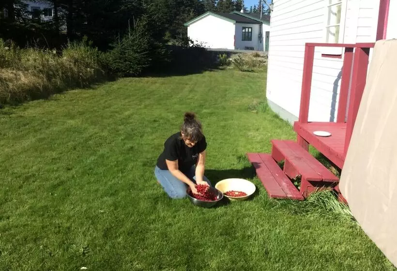 The Meems  Elliston B&b