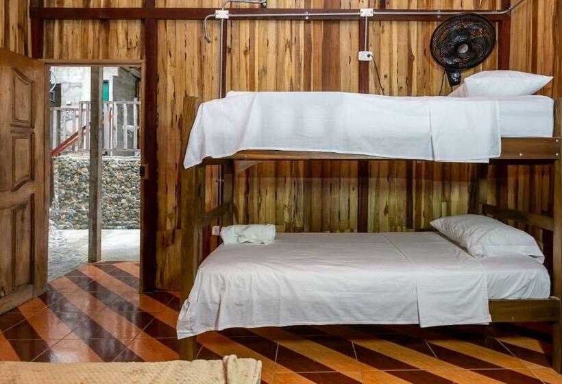 Общежитие Deep Forest Posadas Ecoturisticas