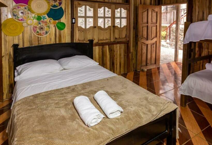 Общежитие Deep Forest Posadas Ecoturisticas