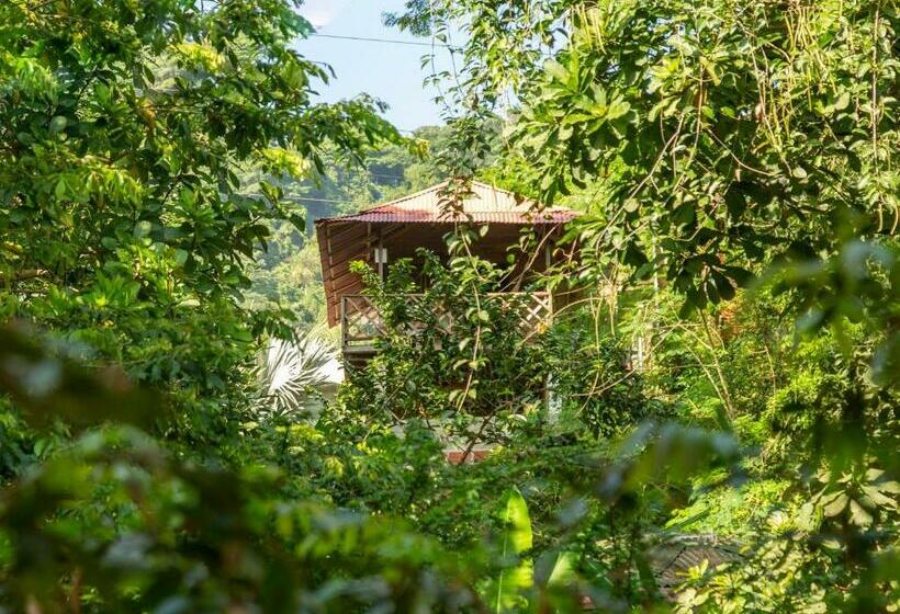 Общежитие Deep Forest Posadas Ecoturisticas