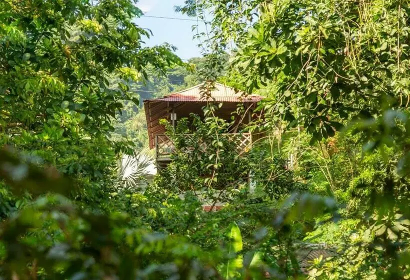 ユースホステル Deep Forest Posadas Ecoturisticas