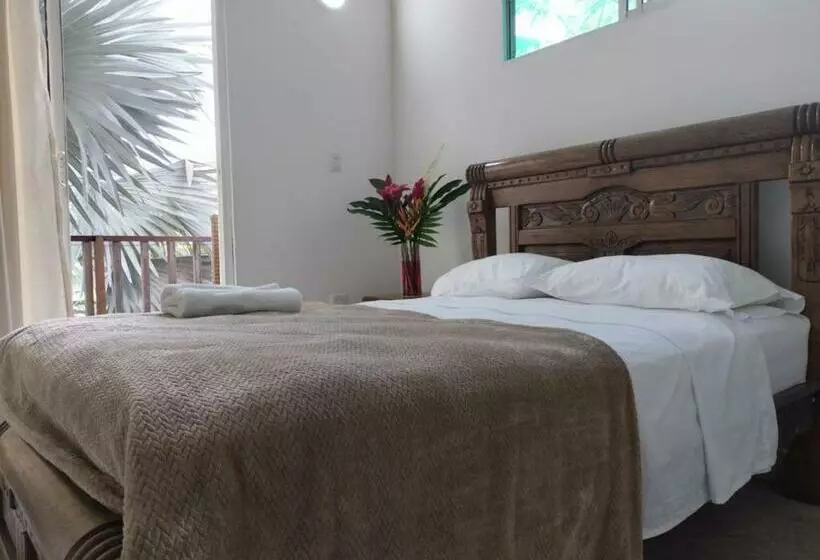 ユースホステル Deep Forest Posadas Ecoturisticas