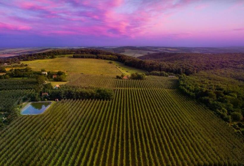 住宿加早餐 Ebner Pince Panzió