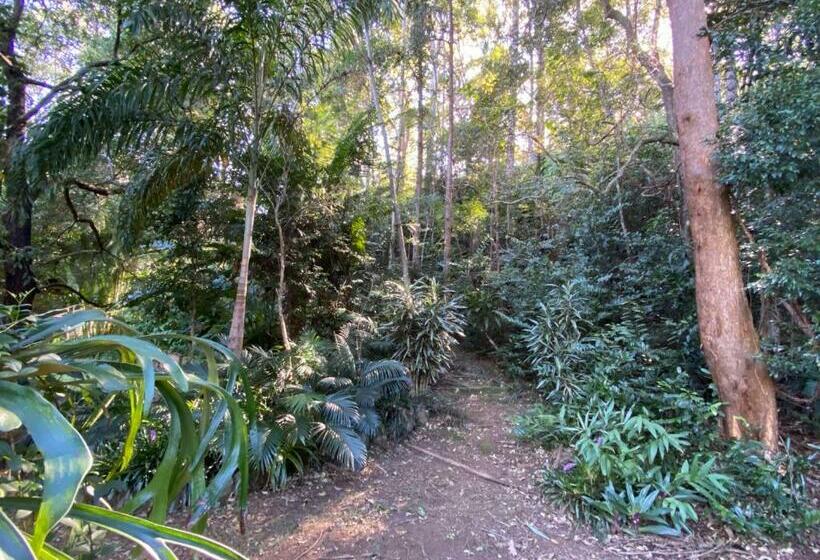 ベッドアンドブレックファースト Palmwoods Eco Escape