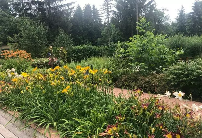 Aamiaismajoitus (B&B) Tündérkert Panzió őrség