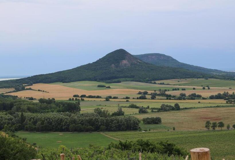 Bed and Breakfast Villa Tolnay Vendégház