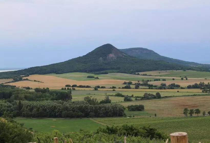 ベッドアンドブレックファースト Villa Tolnay Vendégház