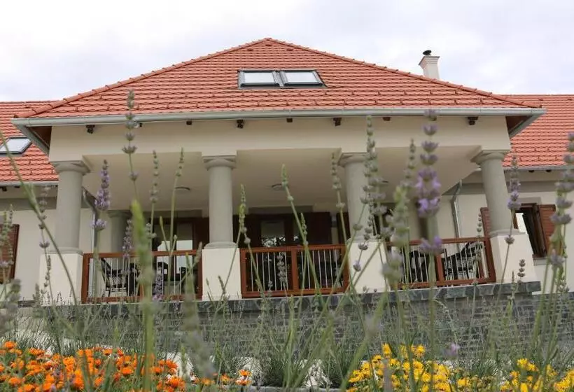 ベッドアンドブレックファースト Villa Tolnay Vendégház