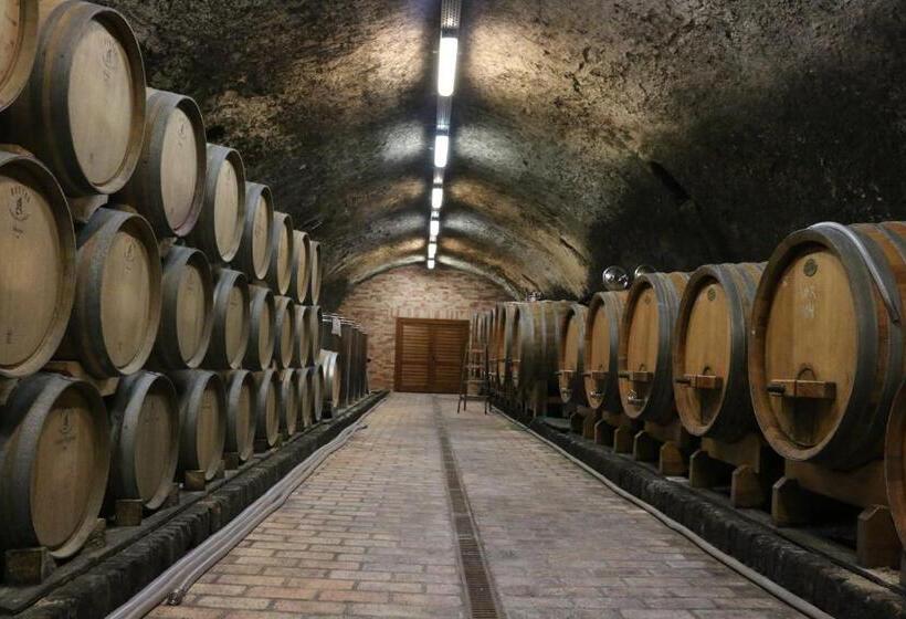 Bed and Breakfast Villa Tolnay Vendégház