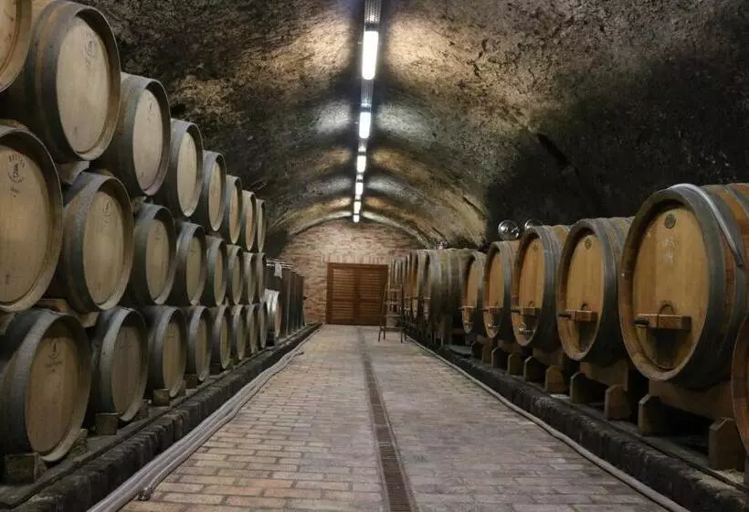 ベッドアンドブレックファースト Villa Tolnay Vendégház