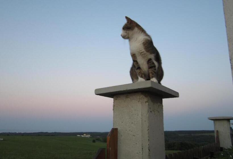 ベッドアンドブレックファースト Vis Velika