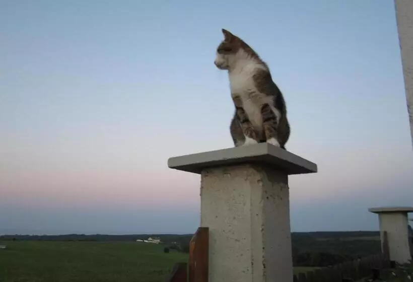 Aamiaismajoitus (B&B) Vis Velika