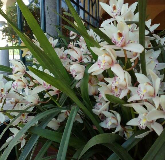 בית מלון כפרי Lavanda Appartamento