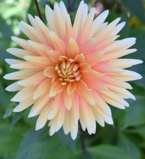 酒店 Ferienhof Mairulrich