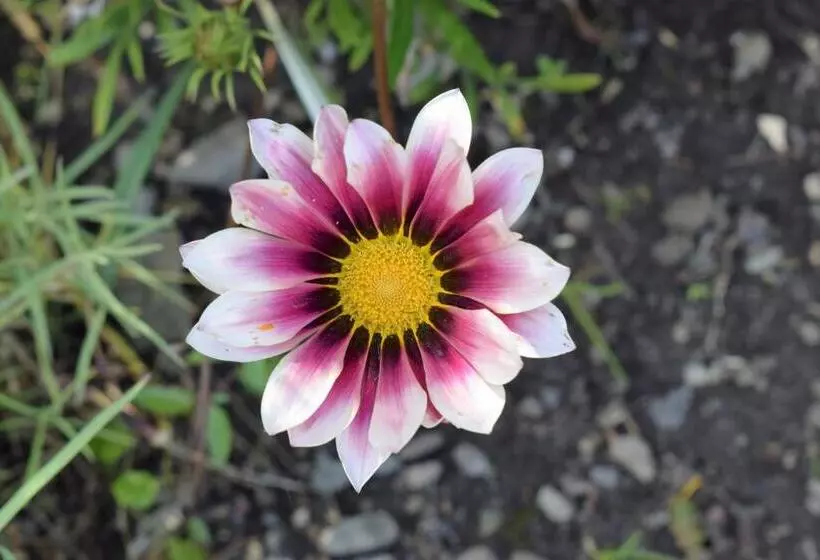 ホテル Ferienhof Mairulrich