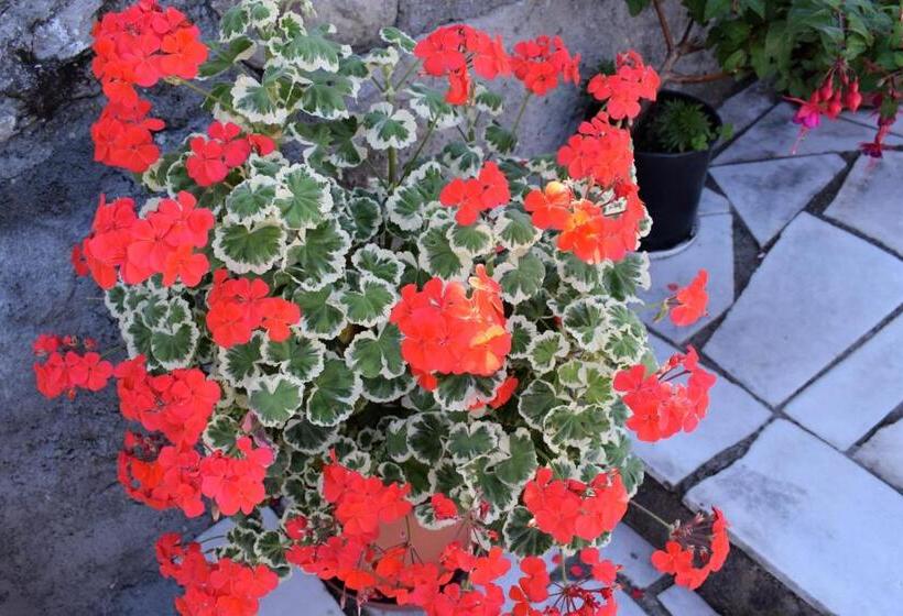 酒店 Ferienhof Mairulrich