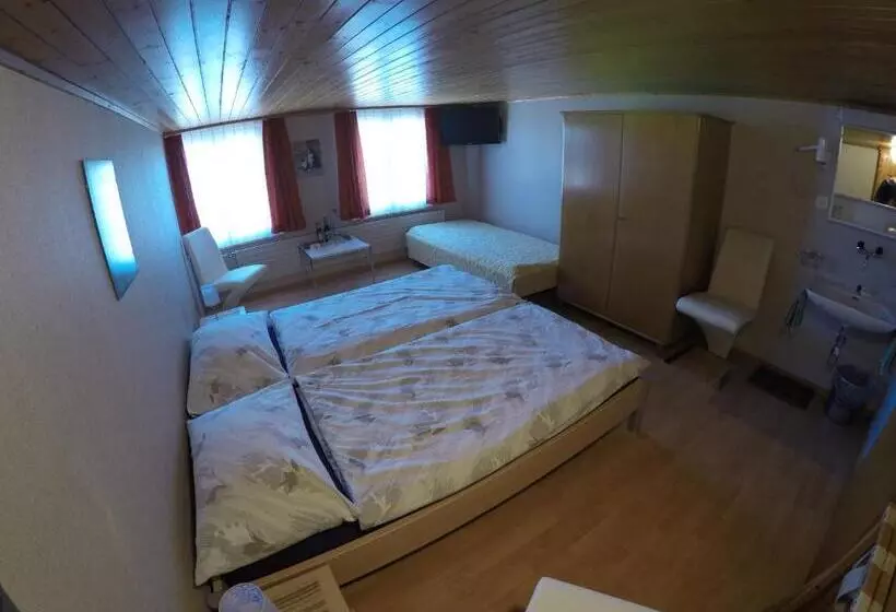 Hotelli Garni Traube B&b