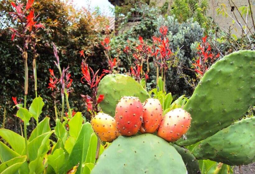 Отель Hacienda El Aserrio