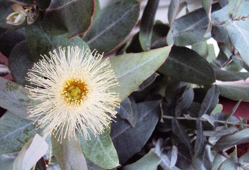 Отель Hacienda El Aserrio