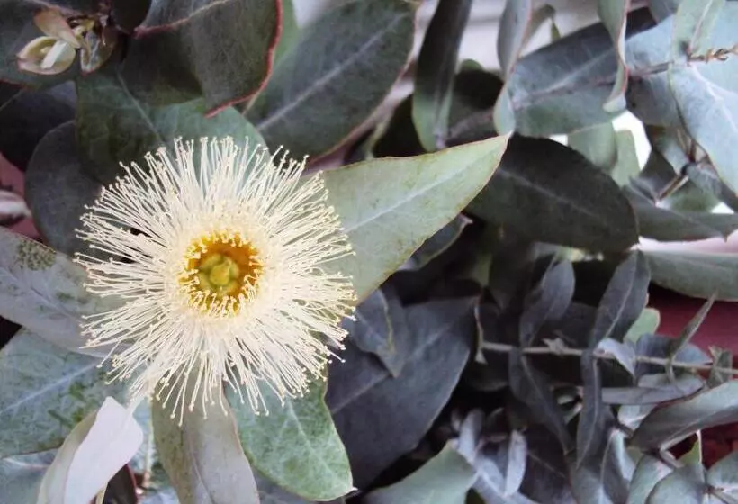 ホテル Hacienda El Aserrio