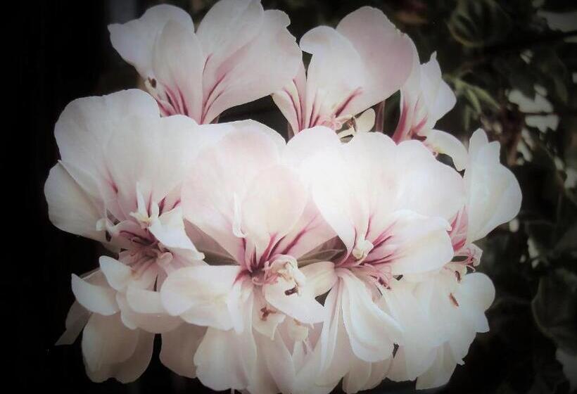 Отель Hacienda El Aserrio