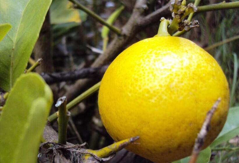 Отель Hacienda El Aserrio