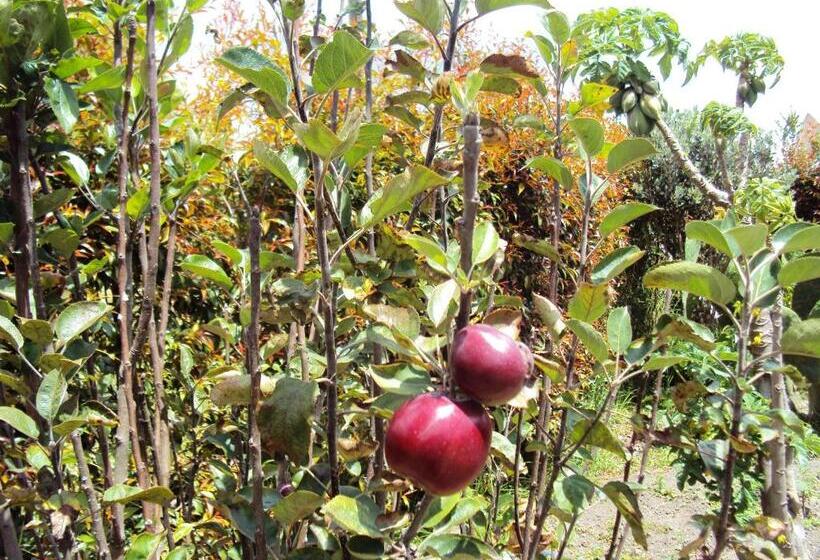 Отель Hacienda El Aserrio