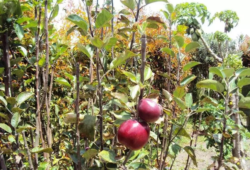 ホテル Hacienda El Aserrio