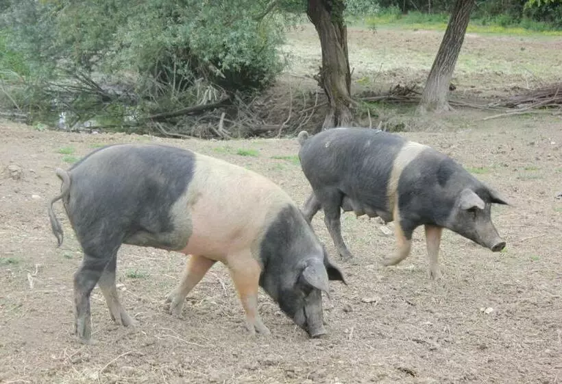 ホテル L' Antico Casale