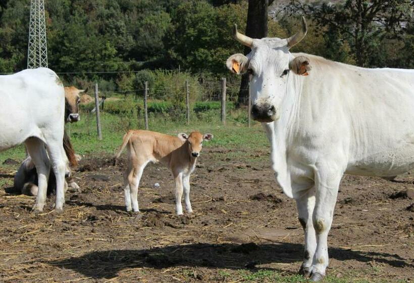 호텔 L' Antico Casale