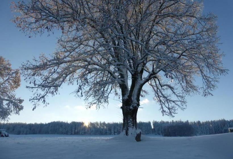 酒店 Le Paysan Horloger