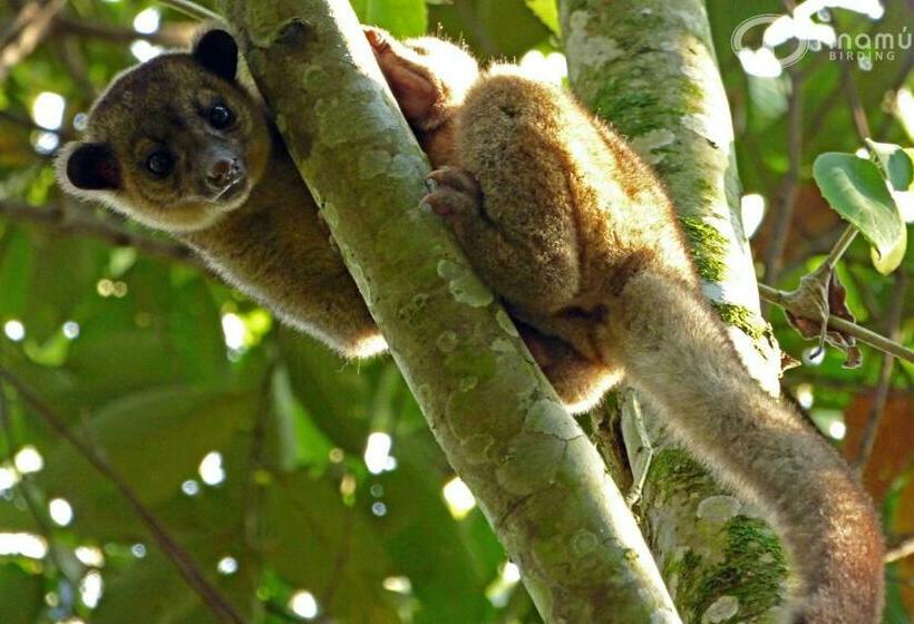 ホテル Tinamu Birding