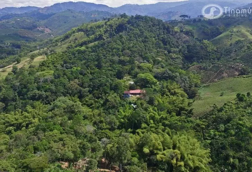 ホテル Tinamu Birding