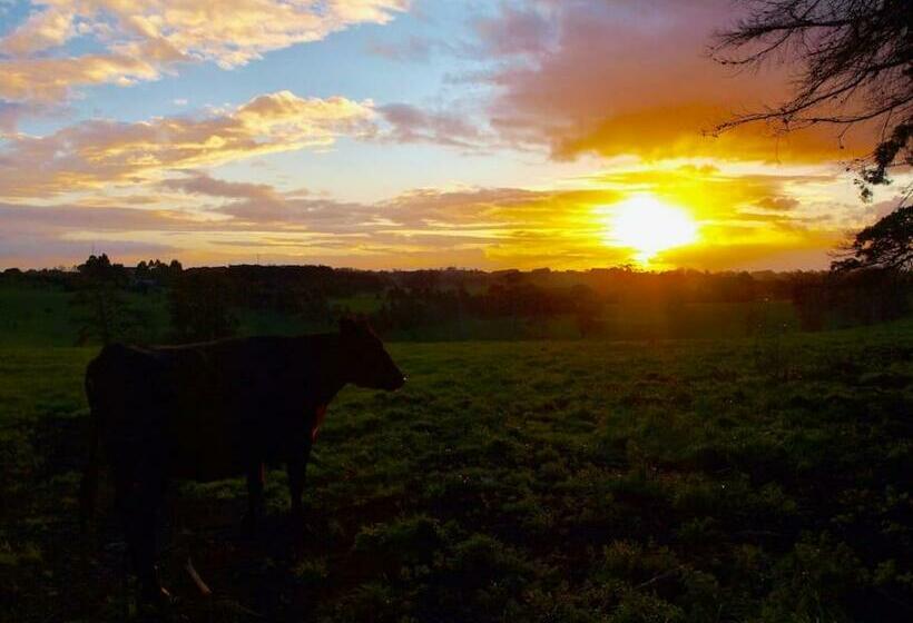 Manderley Park Farmstay B&b