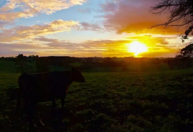 Manderley Park Farmstay B&b