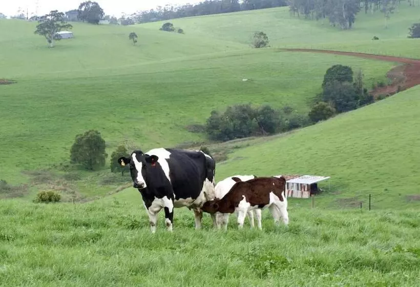 Manderley Park Farmstay B&b