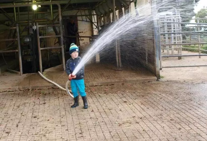 Manderley Park Farmstay B&b