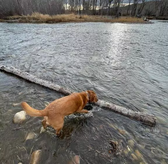 Motelli Sportsman Lodge Melrose Mt