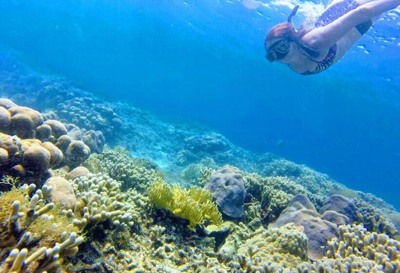 پانسیون El Hamaquero Hostal Econativo