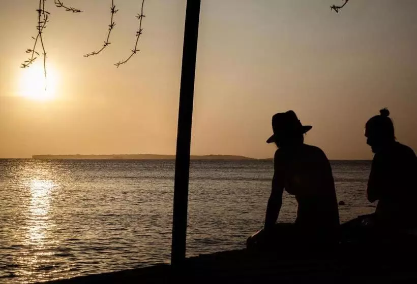 Majatalo El Hamaquero Hostal Econativo