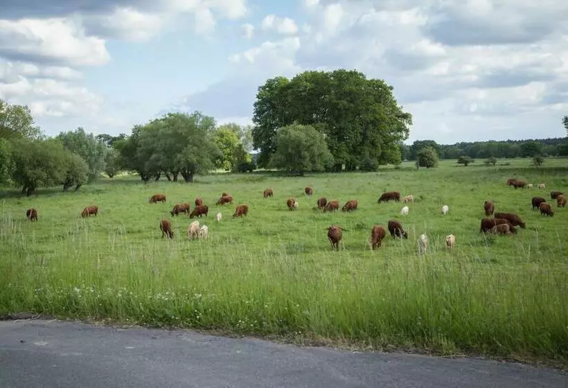 Majatalo Landhaus Elbeflair Bei Dömitz